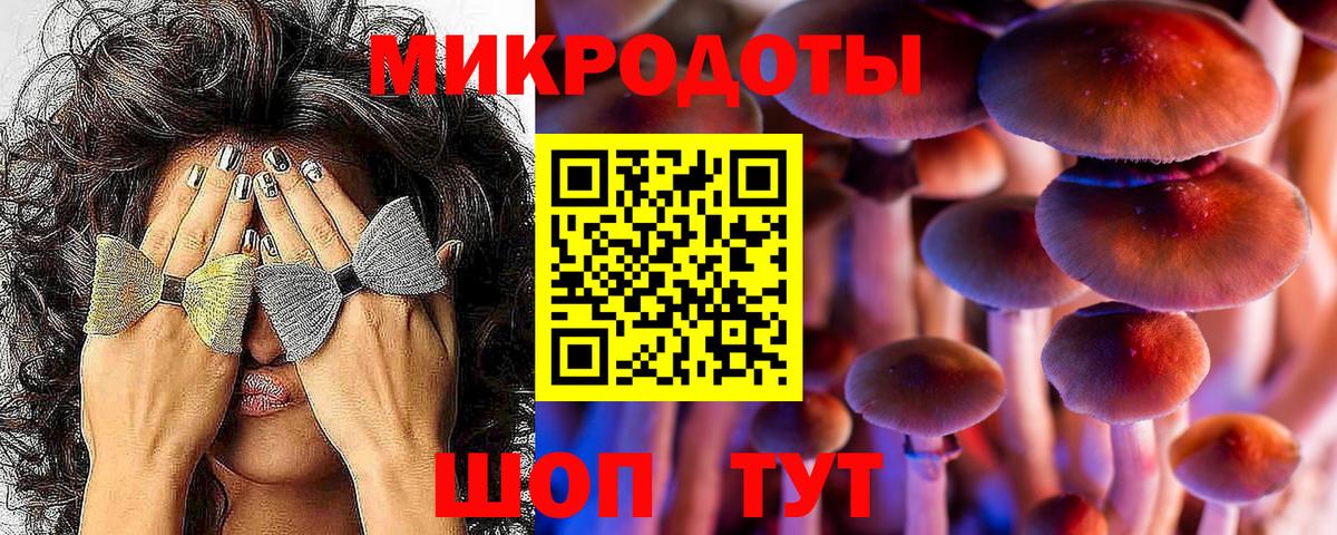 Галлюциногенные грибы Cubensis Костомукша